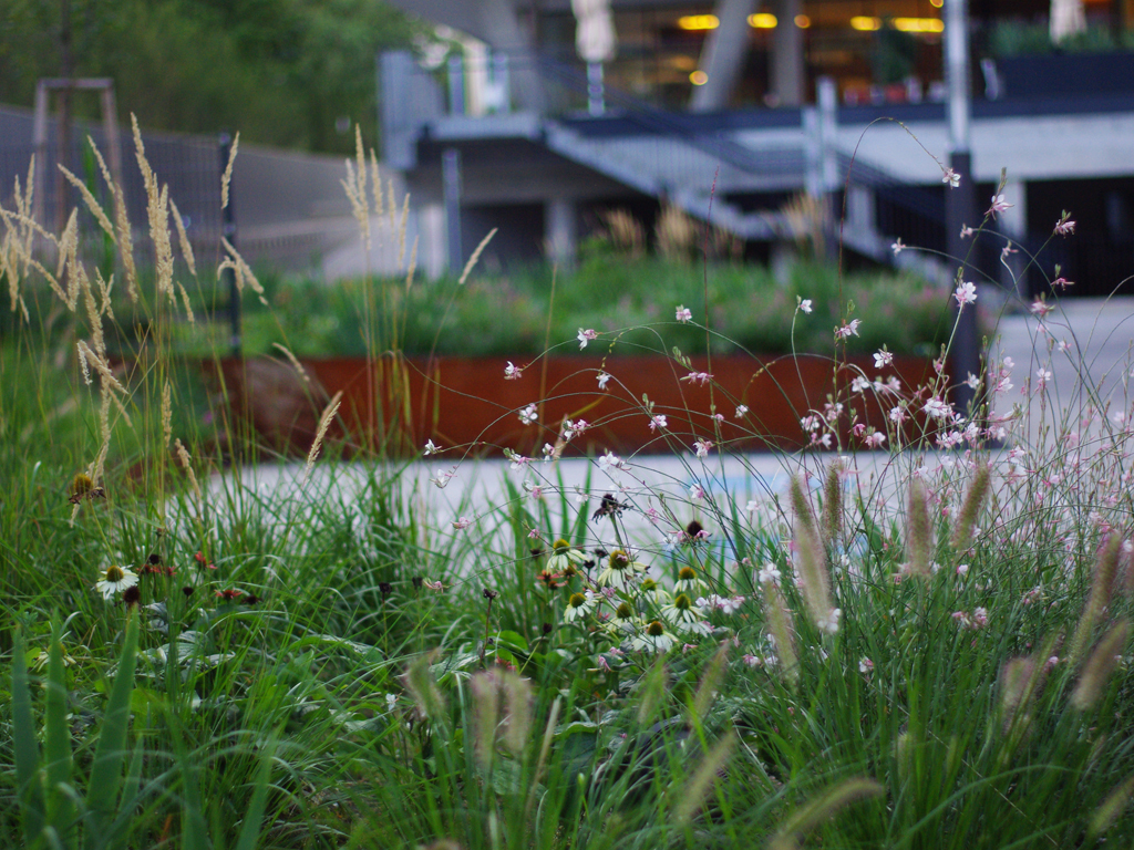 Ein Foto von Robert Luger