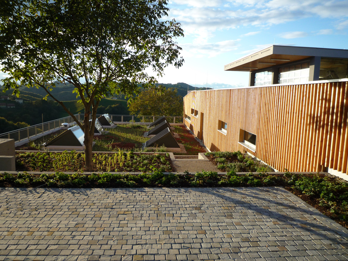 Ein Foto von Monsberger Gartenarchitektur