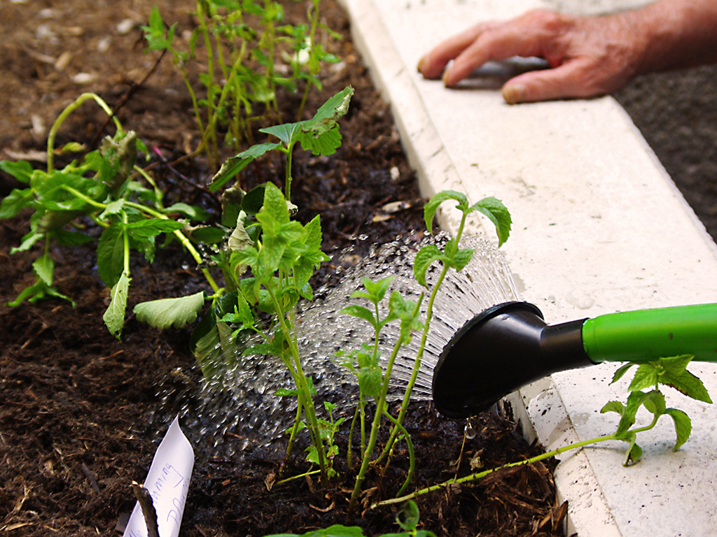 Ein Foto von 3:0 Landschaftsarchitektur