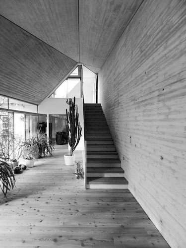 Ein Foto von Paul Ott