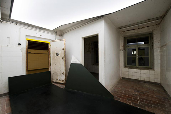 Ein Foto von Dietmar Tollerian