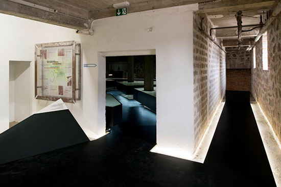 Ein Foto von Dietmar Tollerian