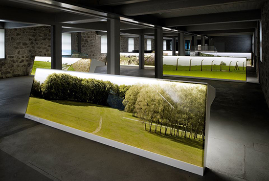 Ein Foto von Dietmar Tollerian