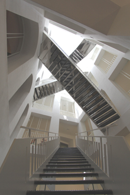 Ein Foto von Max Rieder