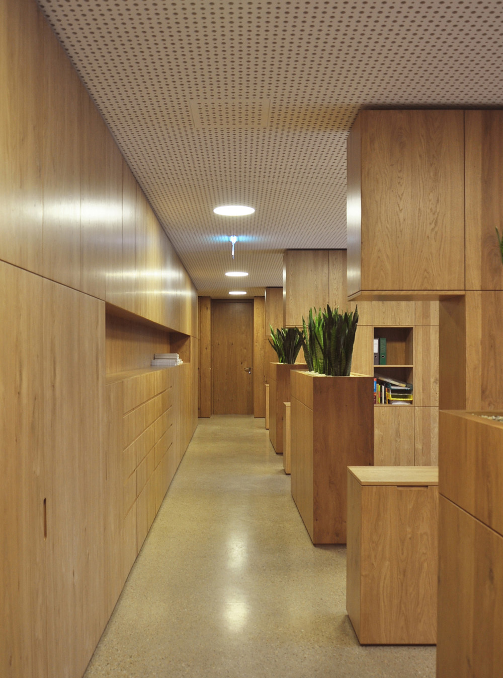 Ein Foto von epps Ploder Simon