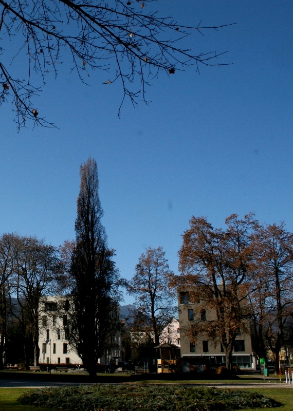 Ein Foto von Wolfgang Leiler