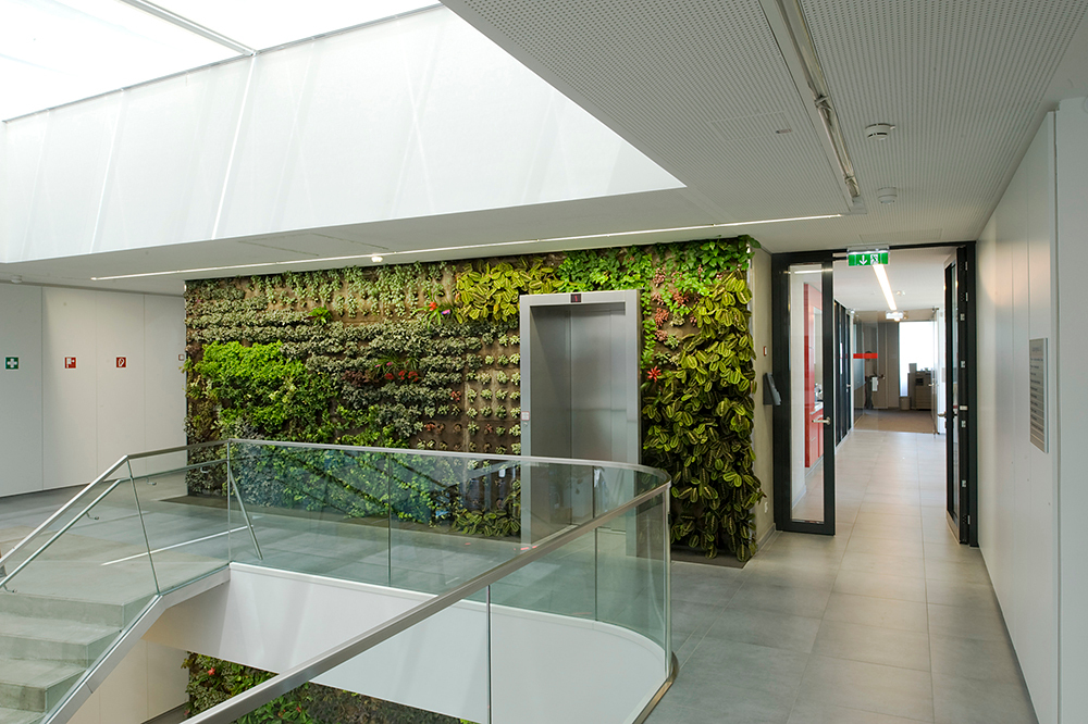 Ein Foto von Helmut Tezak