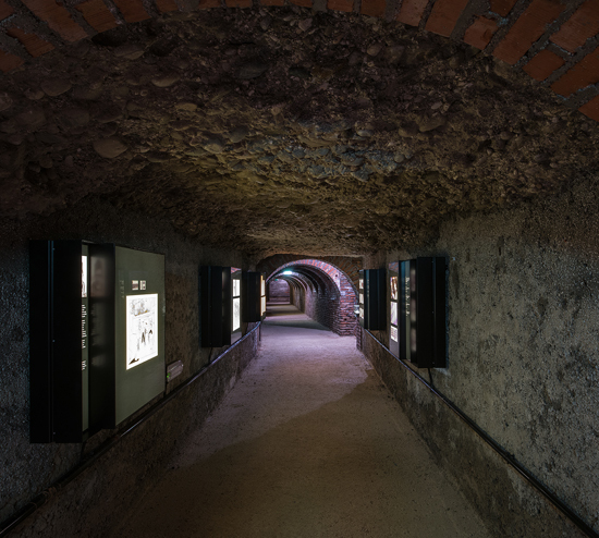 Ein Foto von Andreas Buchberger