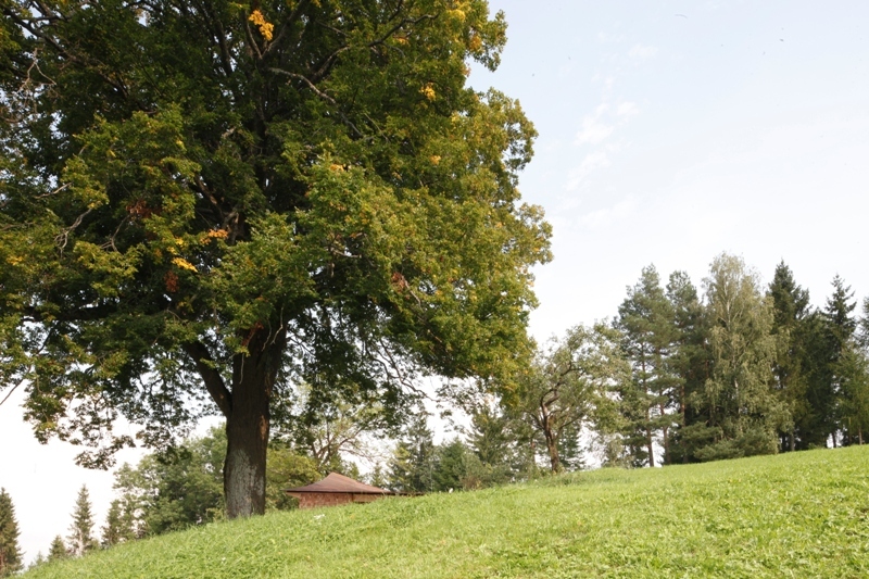 Ein Foto von Gerhard Maurer