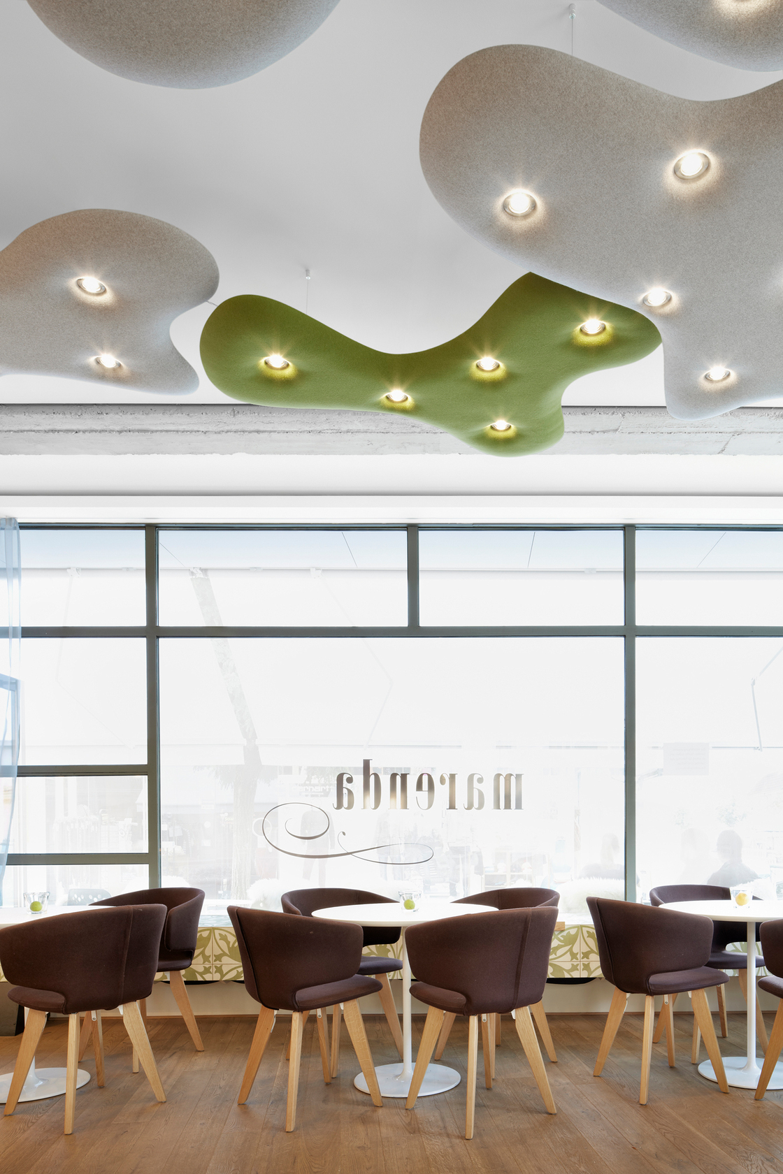 Ein Foto von Adolf Bereuter