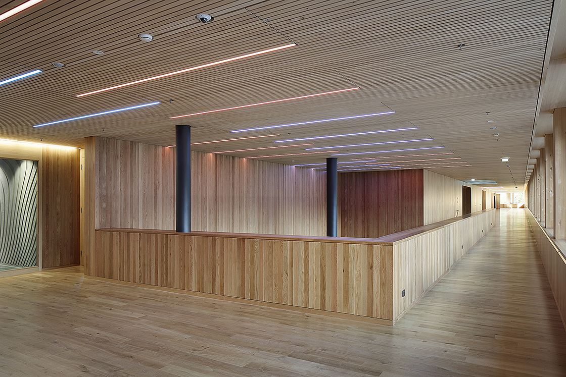 Ein Foto von Norman Radon