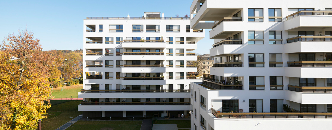 Ein Foto von Paul Ott