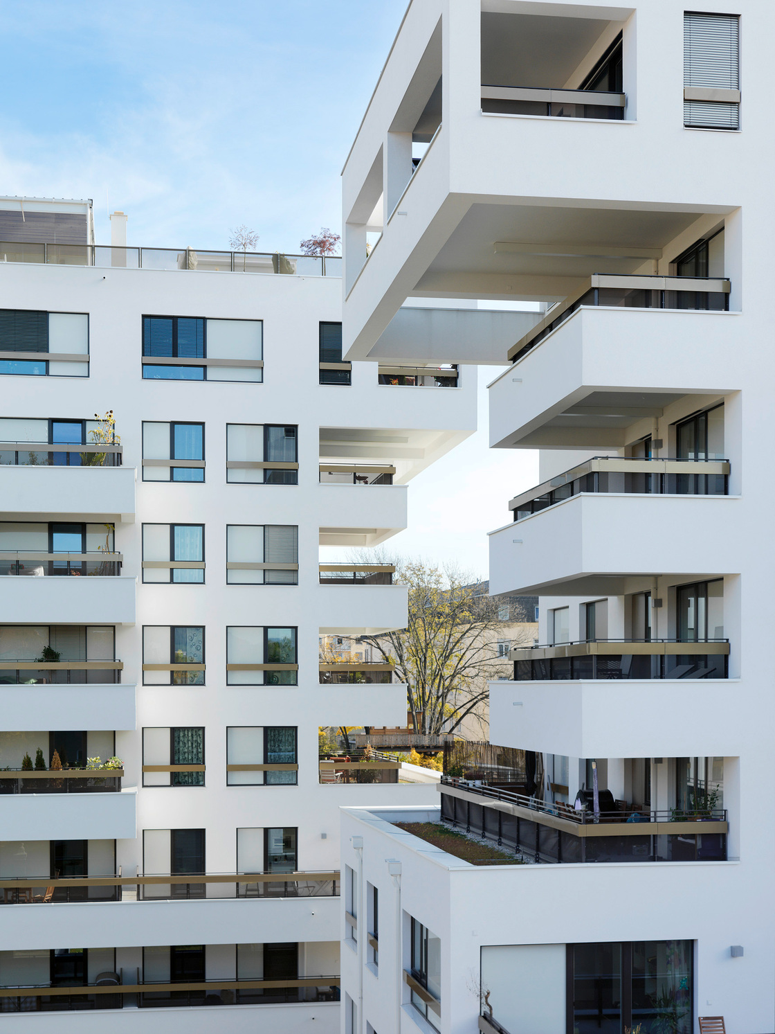 Ein Foto von Paul Ott