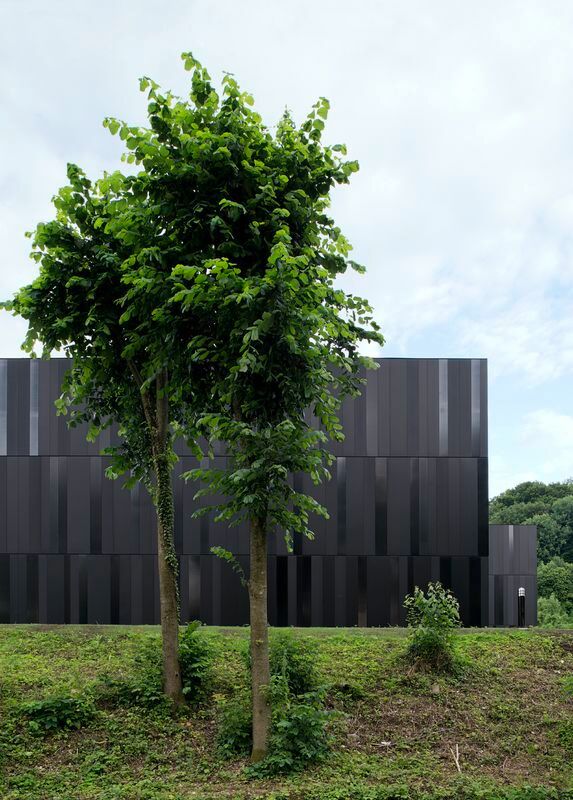 Ein Foto von Dietmar Tollerian