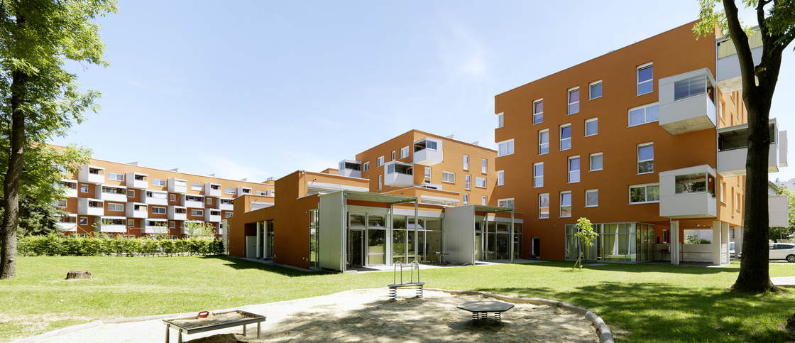 Ein Foto von Paul Ott