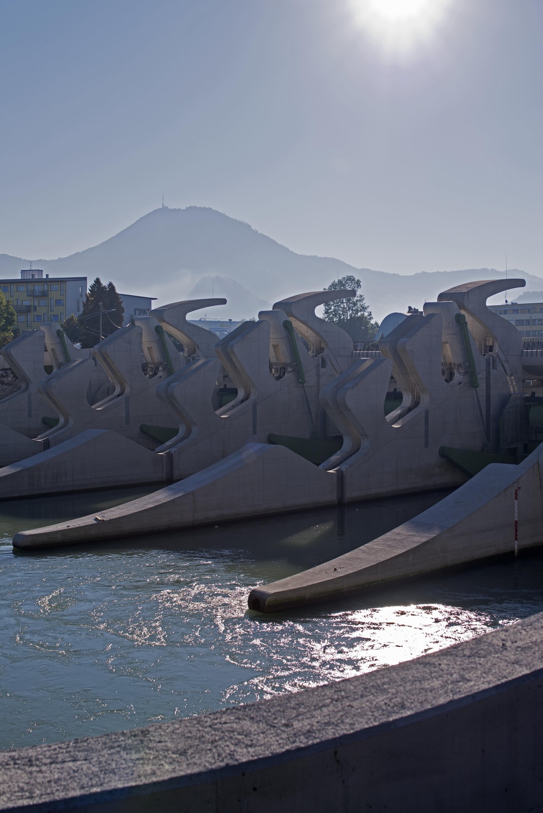 Ein Foto von Petra Steiner