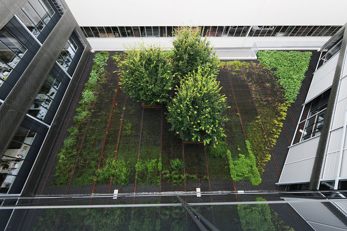 Ein Foto von Hertha Hurnaus