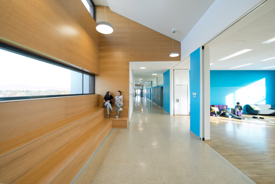 Ein Foto von Dietmar Tollerian