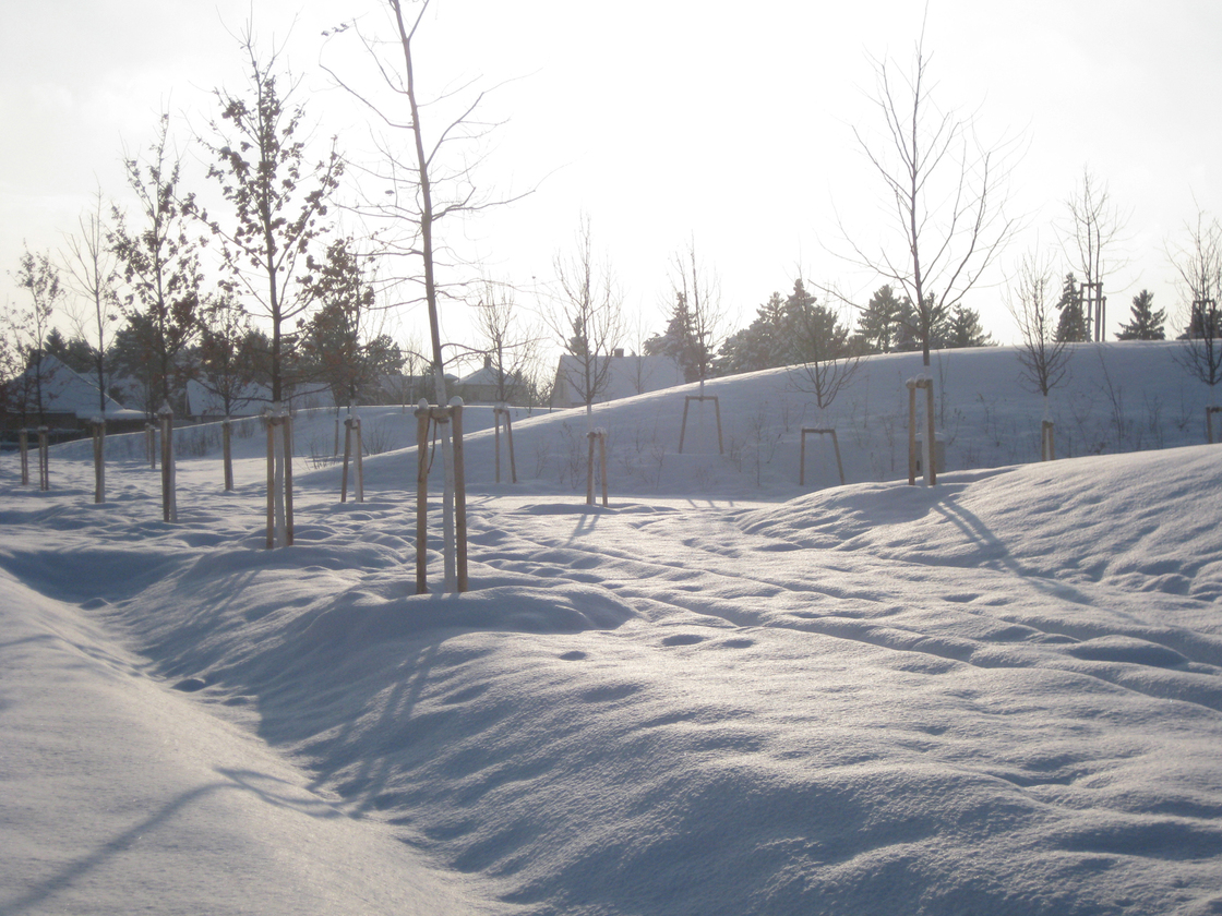 Ein Foto von Karl Grimm