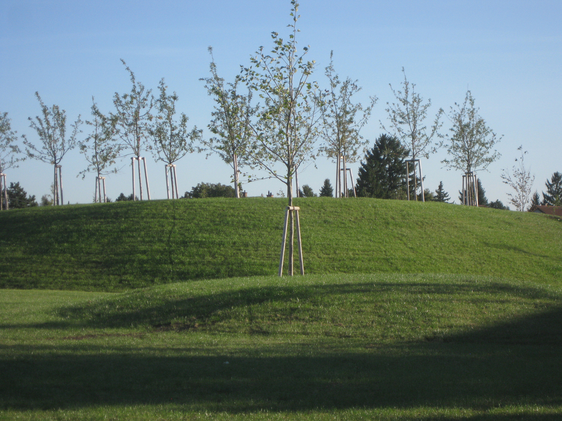 Ein Foto von Karl Grimm