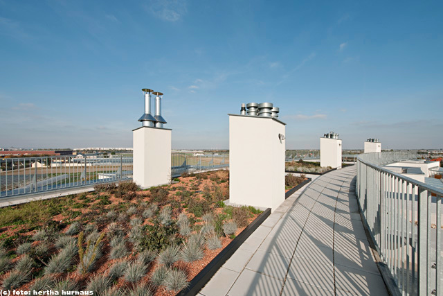 Ein Foto von Hertha Hurnaus