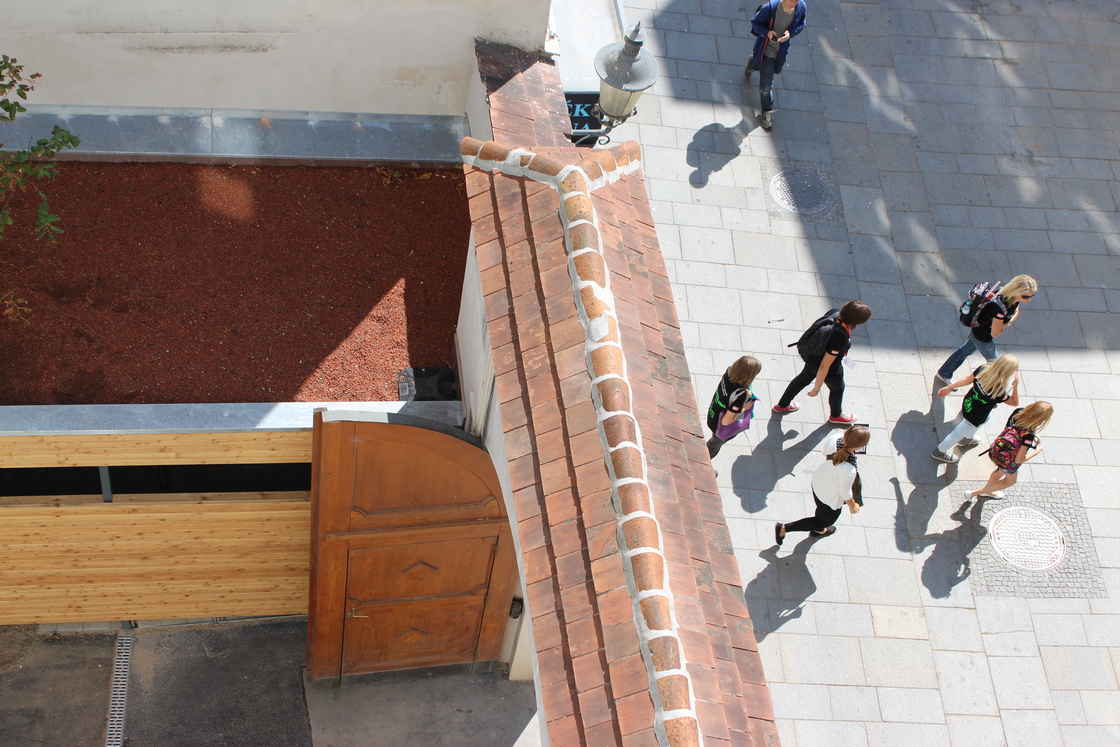 Ein Foto von Isabella Wall