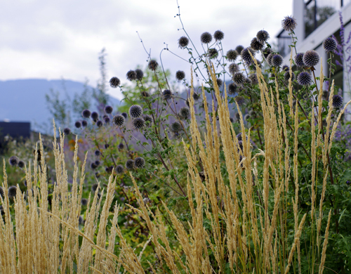 Ein Foto von Wolfgang Leeb