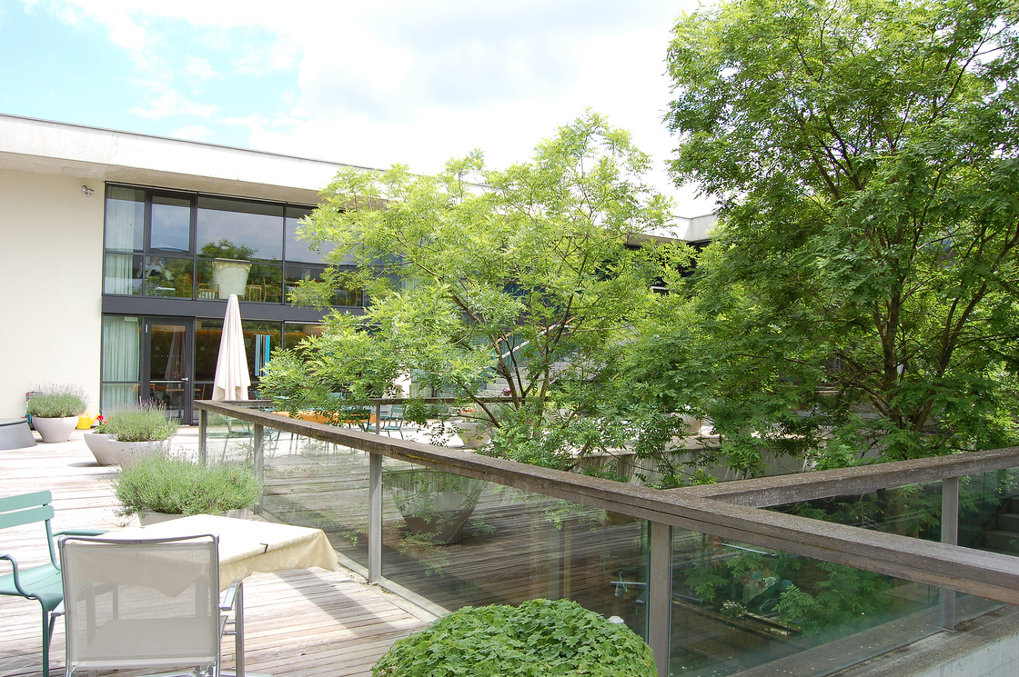 Ein Foto von Elisabeth Gruber