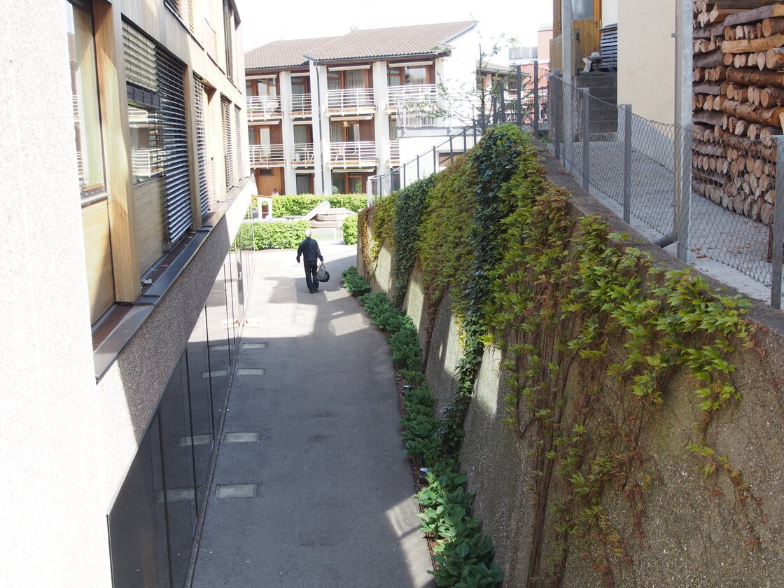 Ein Foto von KoseLicka