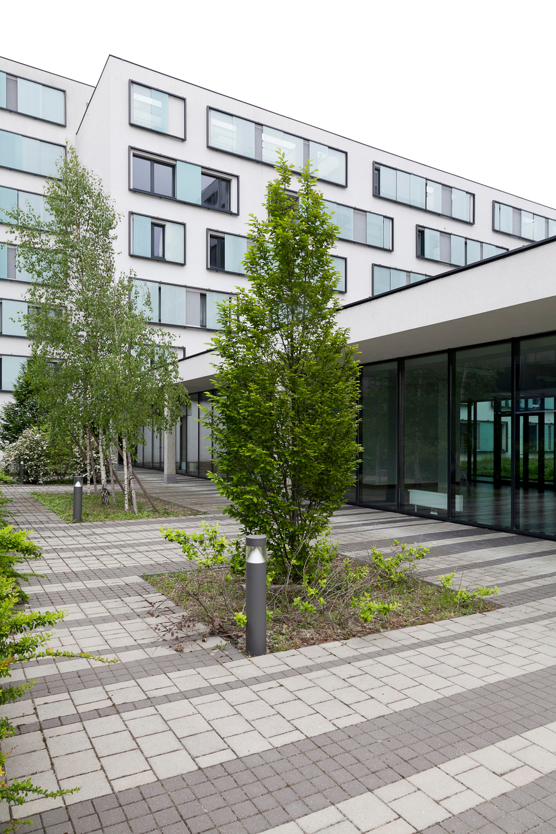 Ein Foto von t-hoch-n