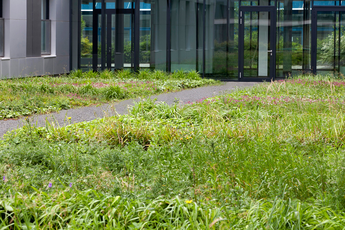 Ein Foto von t-hoch-n