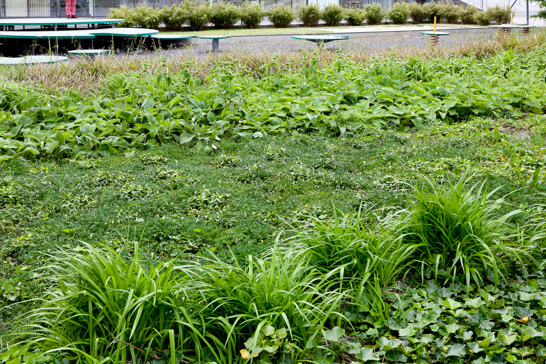 Ein Foto von t-hoch-n