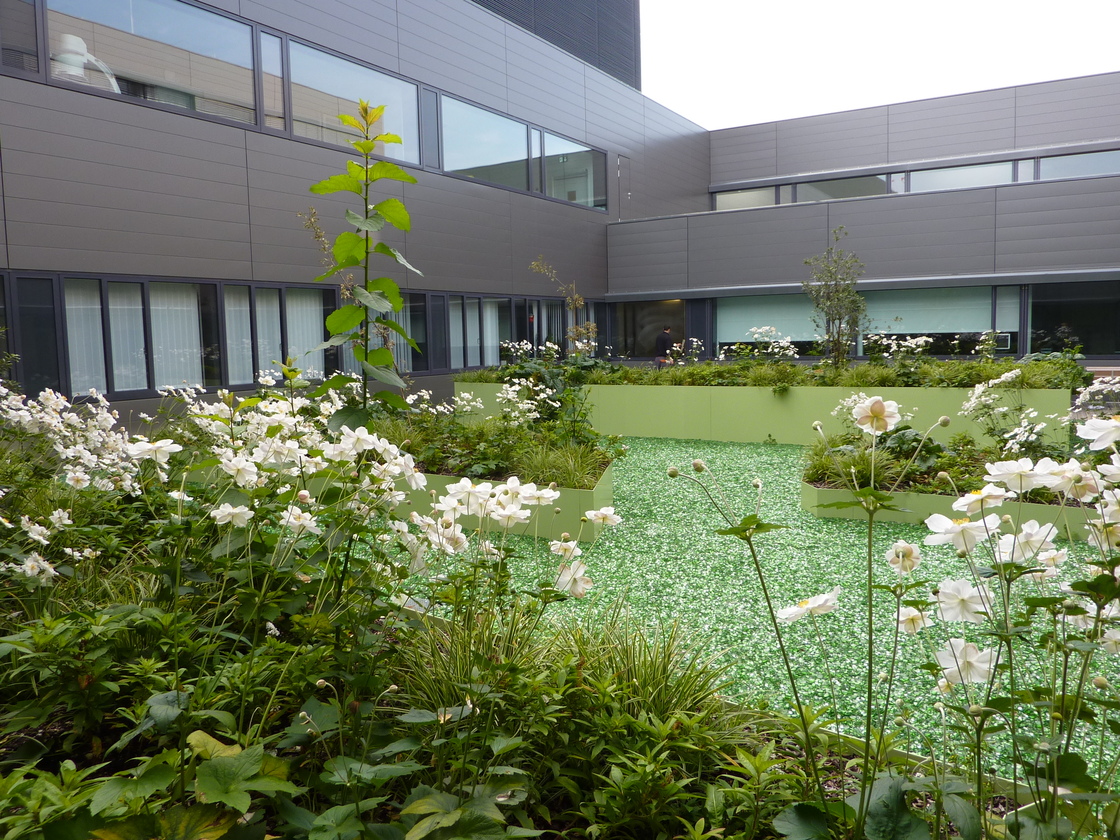 Ein Foto von idealice Landschaftsarchitektur