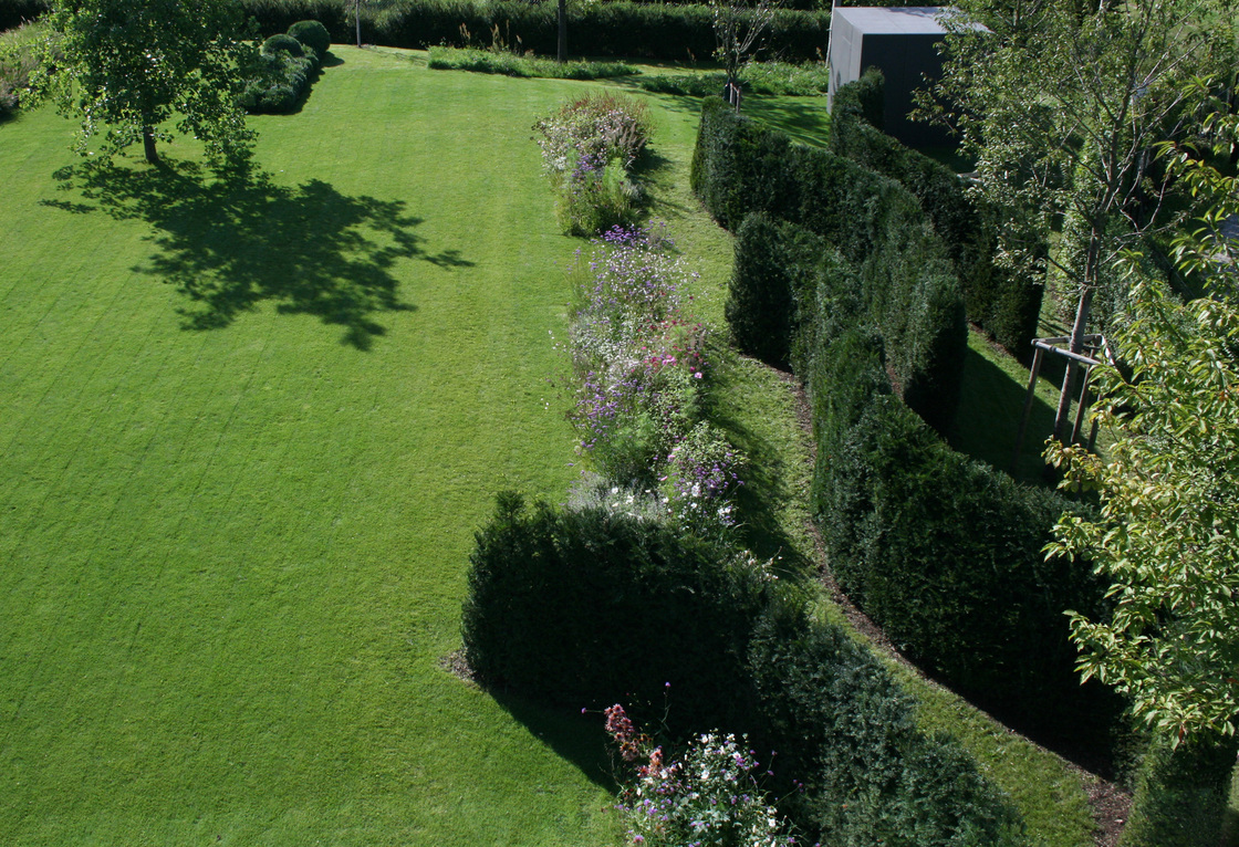 Ein Foto von Veronika Pree