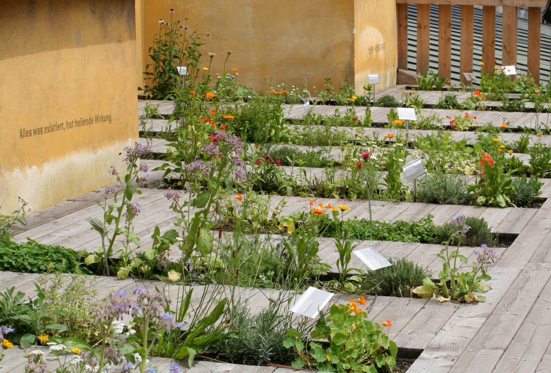 Ein Foto von Barbara Bacher