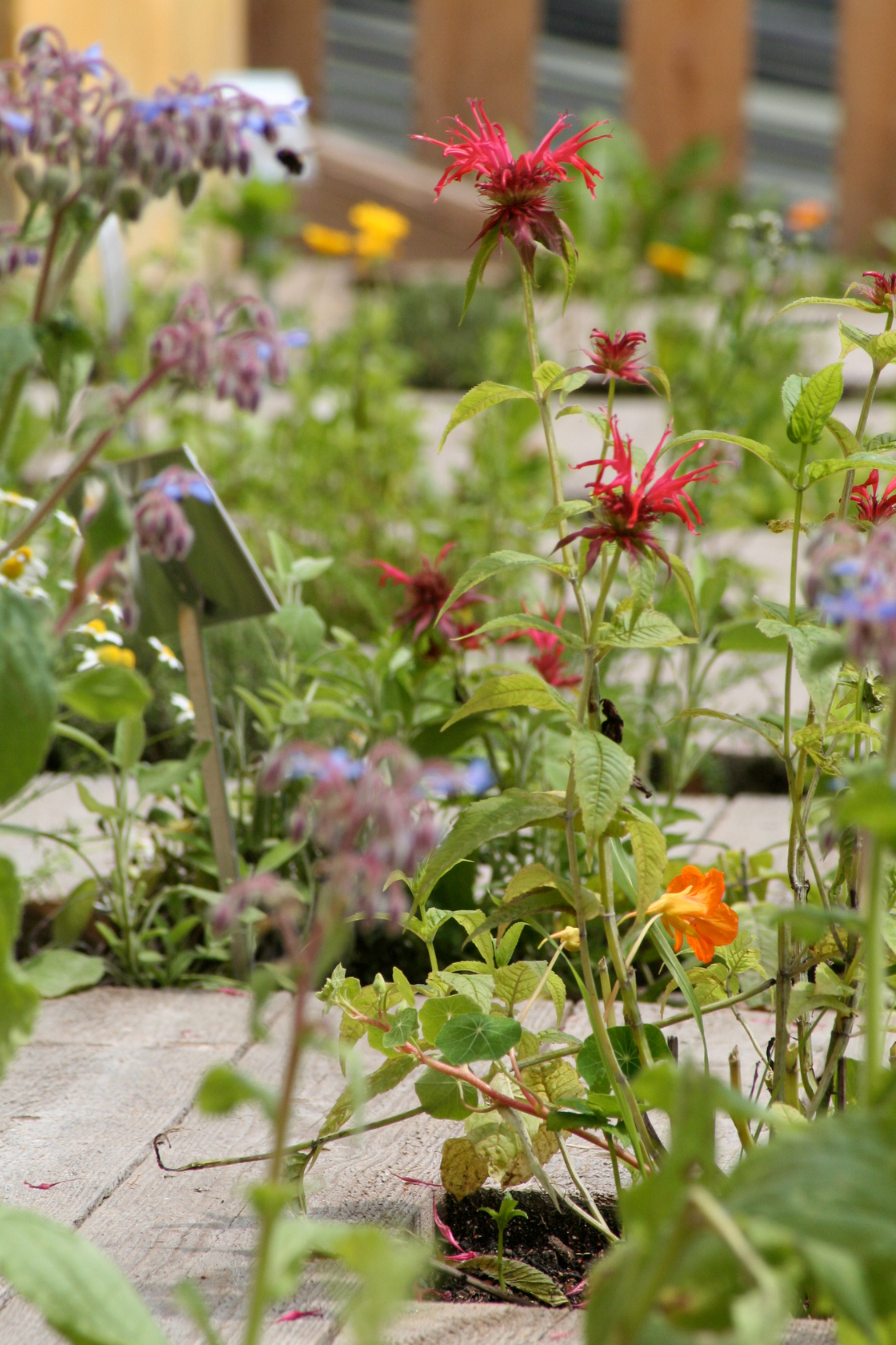 Ein Foto von Barbara Bacher