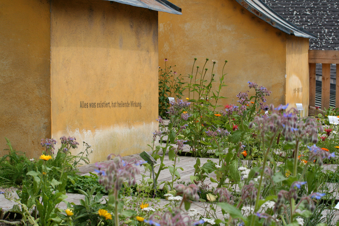 Ein Foto von Barbara Bacher