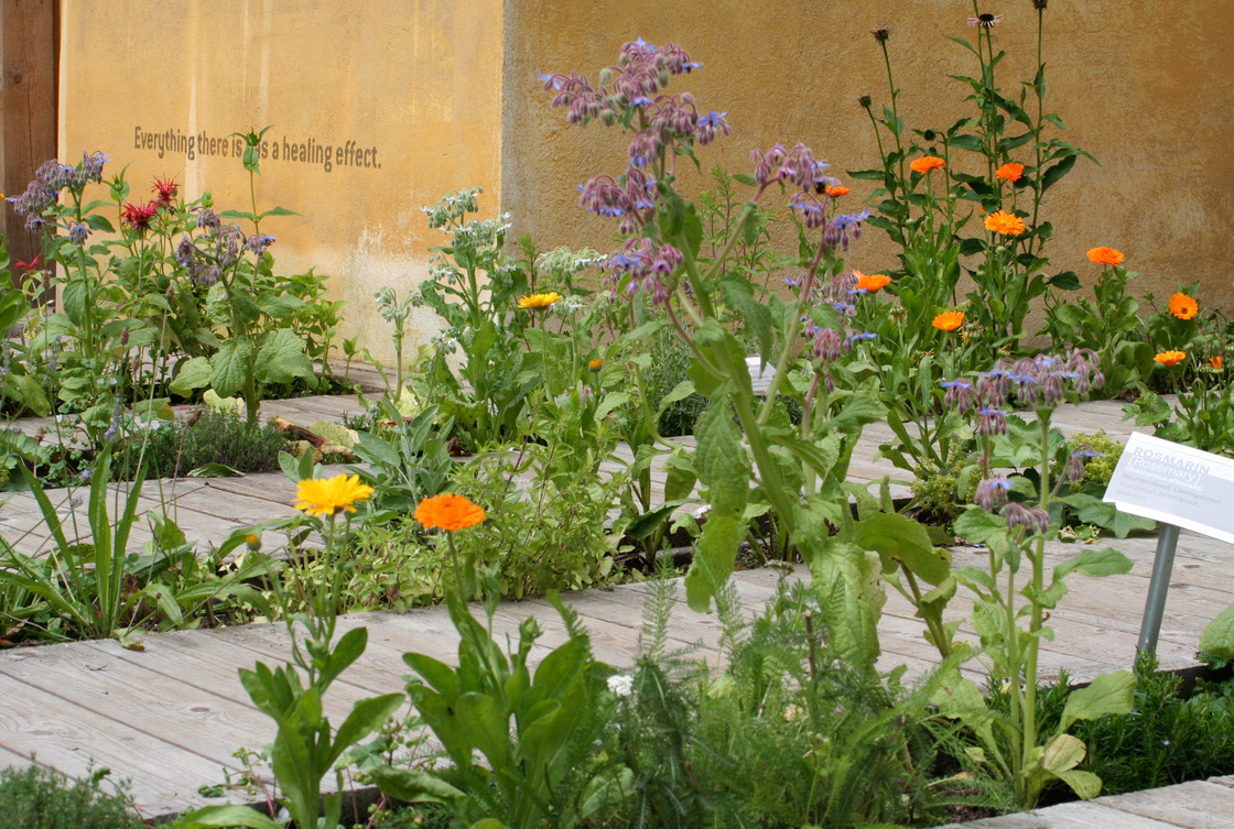 Ein Foto von Barbara Bacher