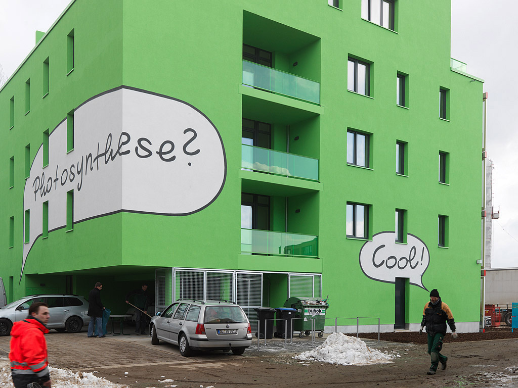 Ein Foto von Paul Ott