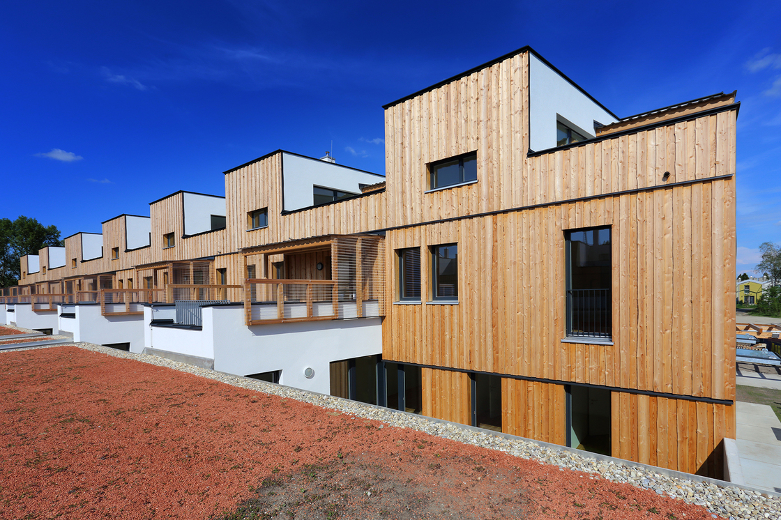 Ein Foto von Michael Hierner