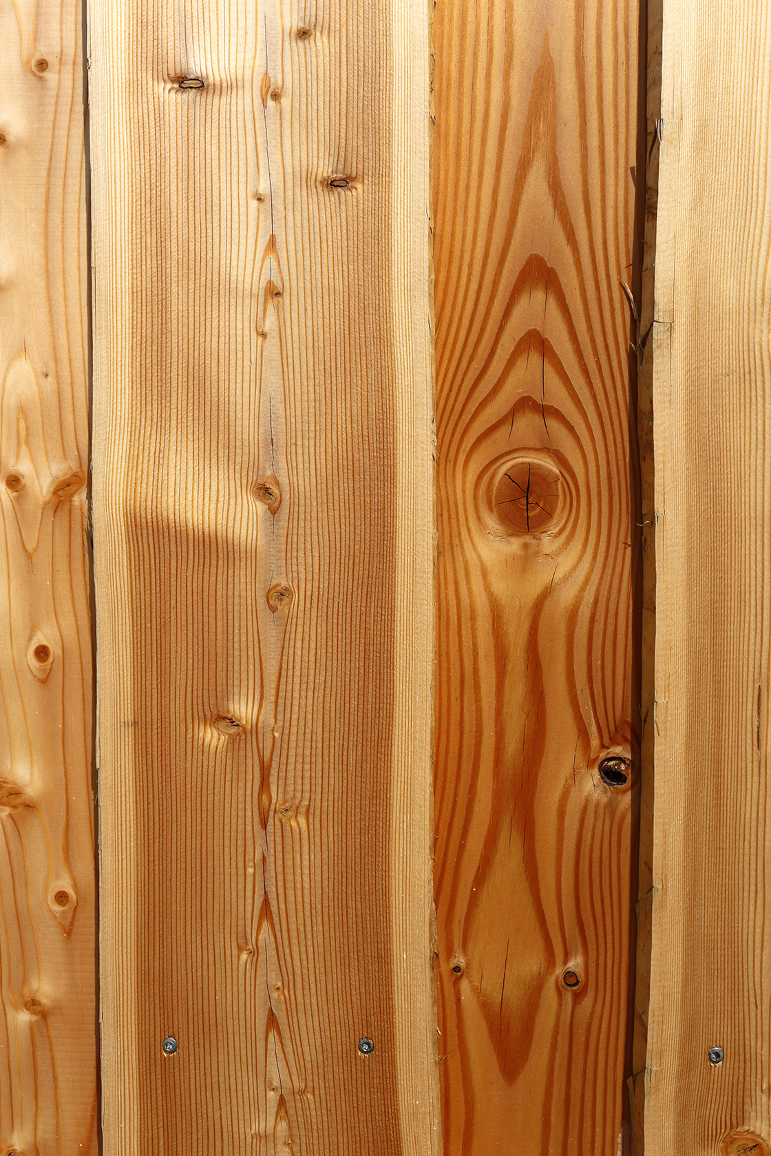 Ein Foto von Michael Hierner