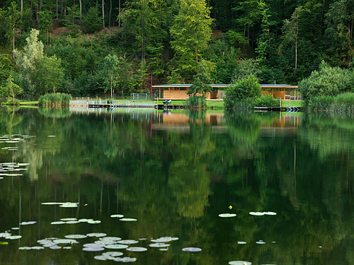 Ein Foto von Paul Ott