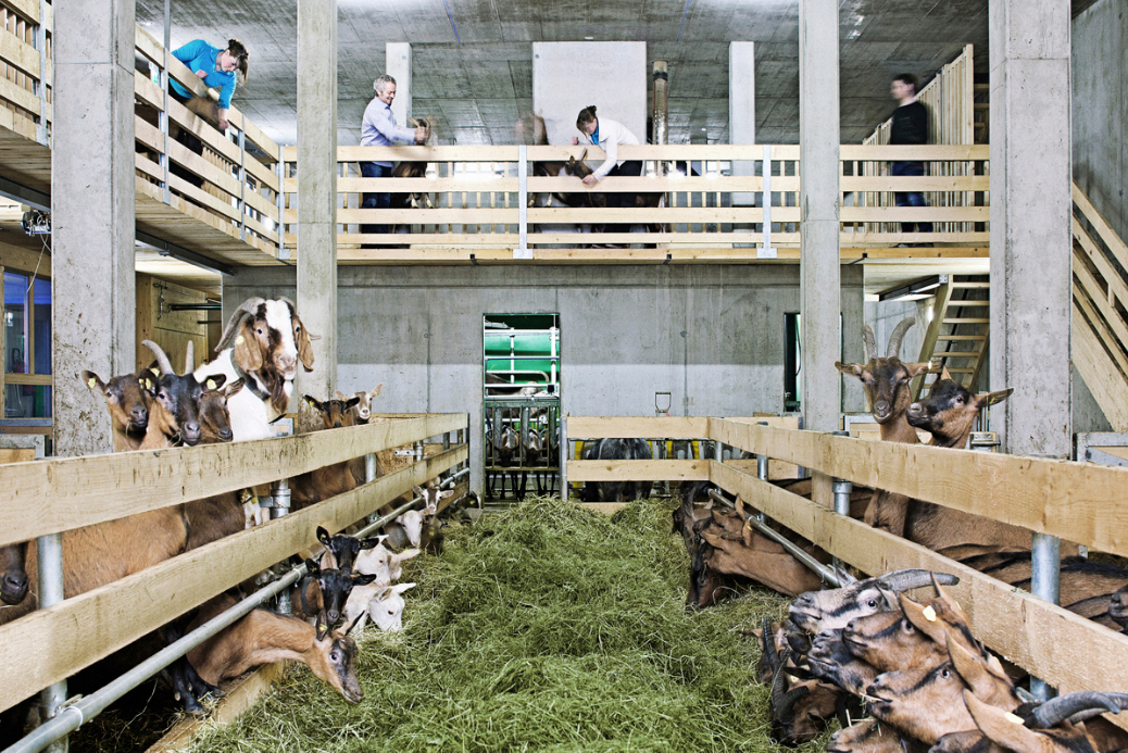 Ein Foto von Christoph Ganahl