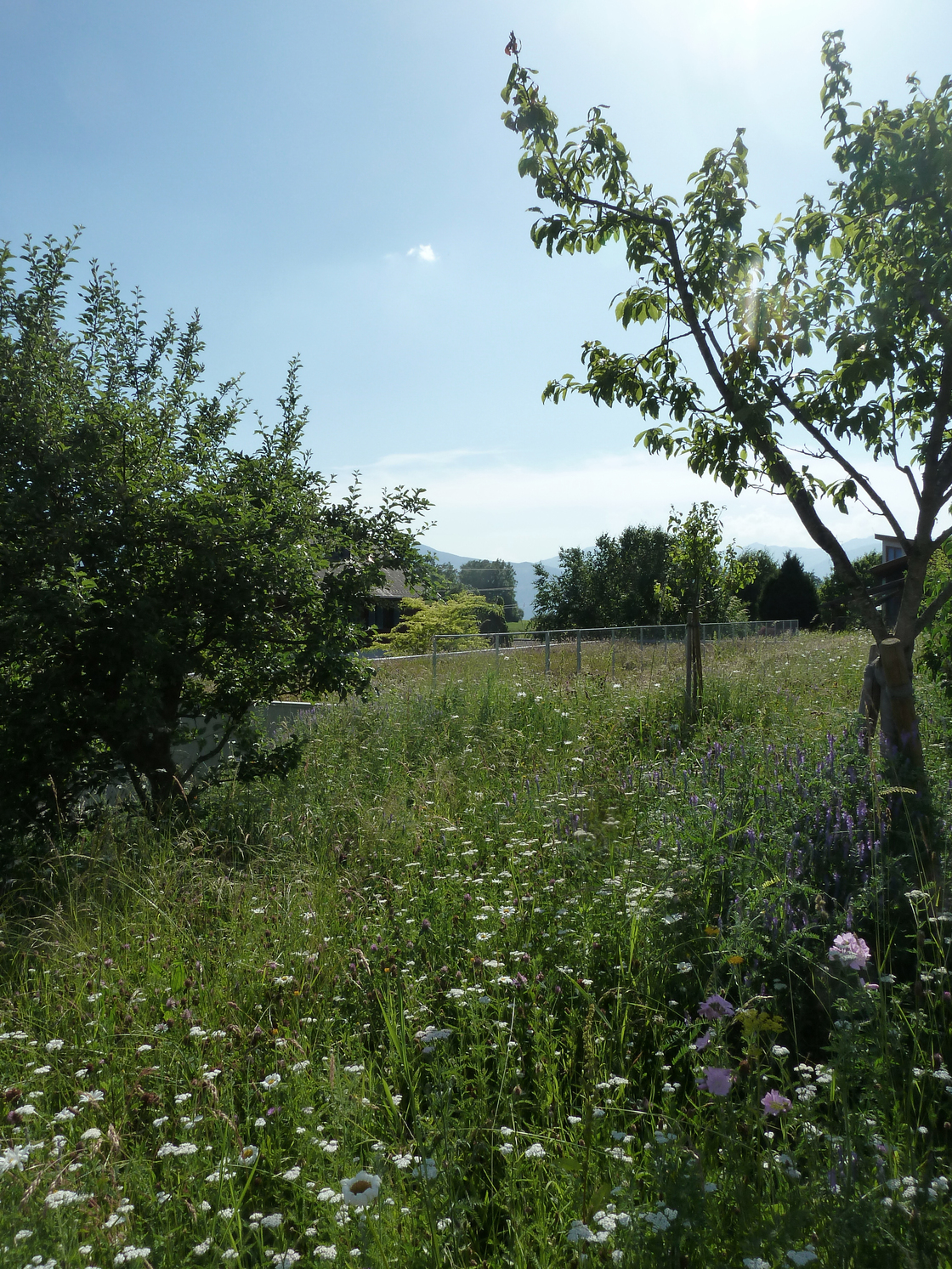 Ein Foto von Jürgen P. Wirnsberger