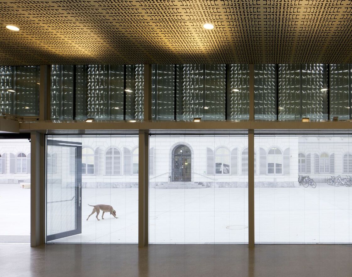 Ein Photo von David Schreyer