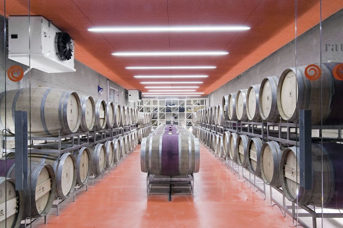 Ein Foto von Daniele Ansidei