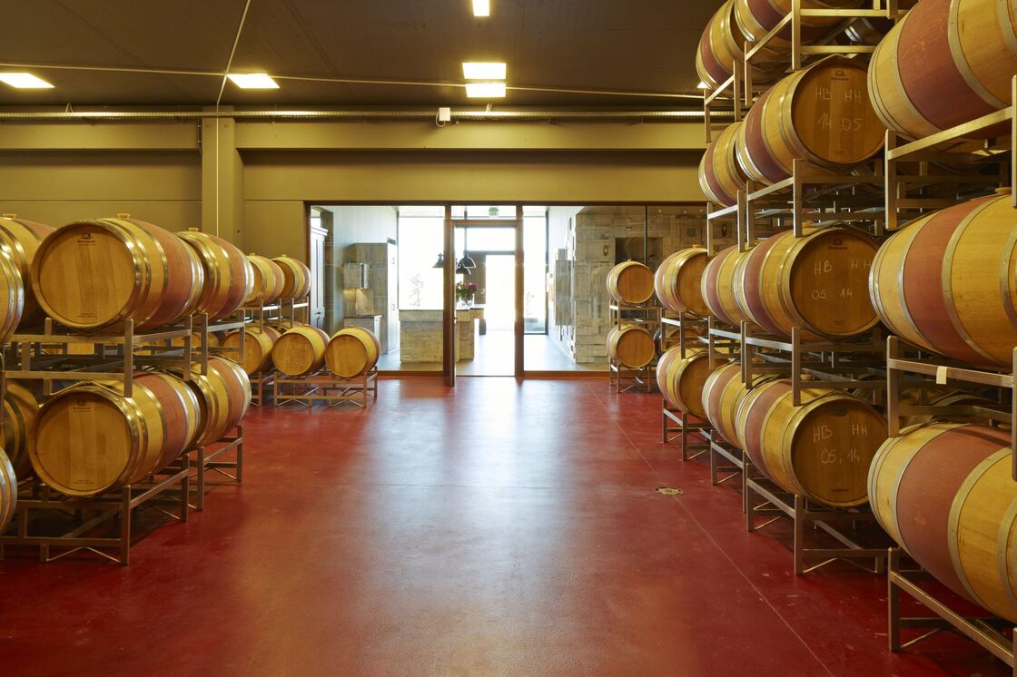 Ein Foto von Rainer Schoditsch