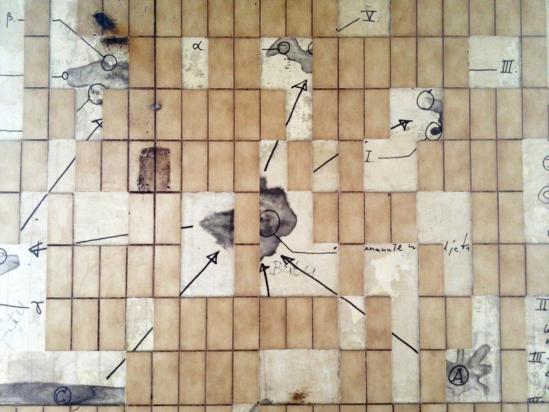 Ein Foto von Andrea Ehrenreich