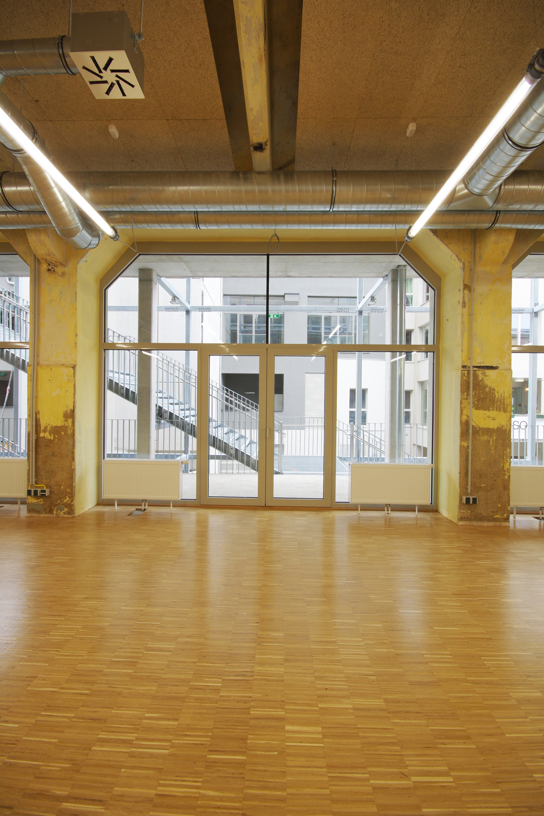 Ein Foto von Andrea Ehrenreich