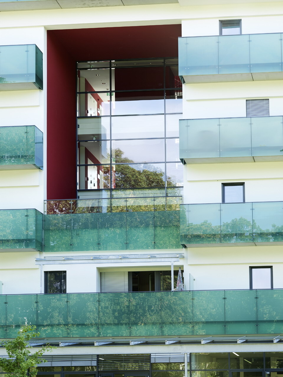 Ein Foto von Paul Ott